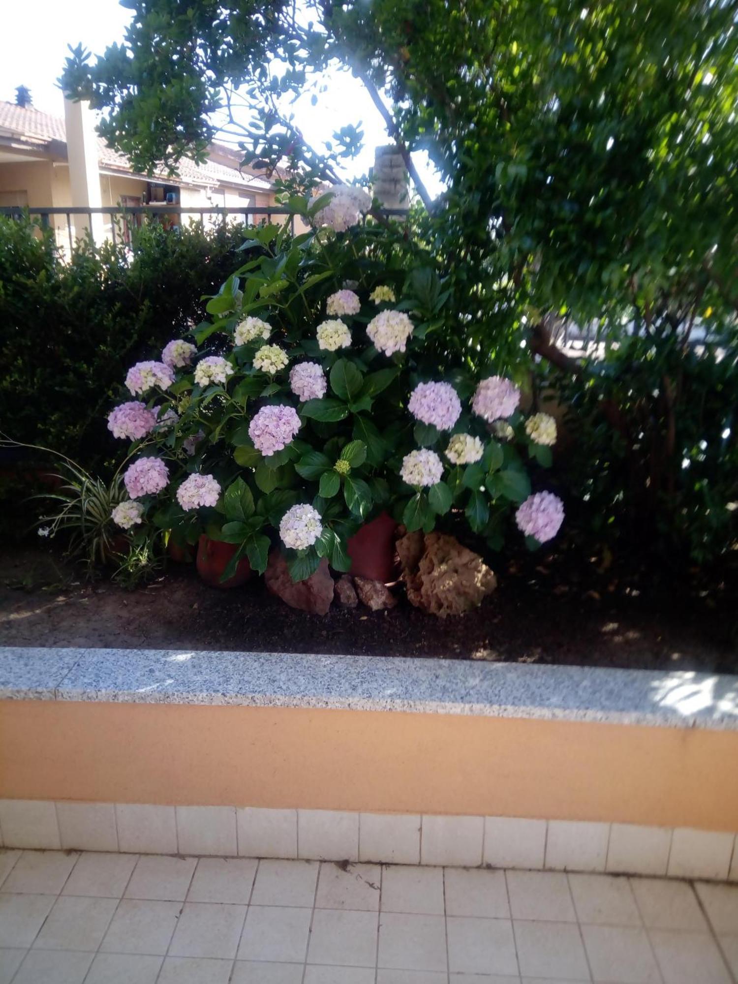 Casa Al Mare Con Giardino Villa Alghero Eksteriør billede